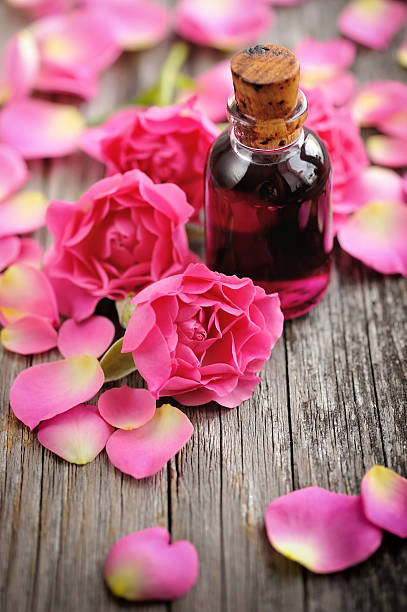aceite de rosa mosqueta como regenerador natural de la piel